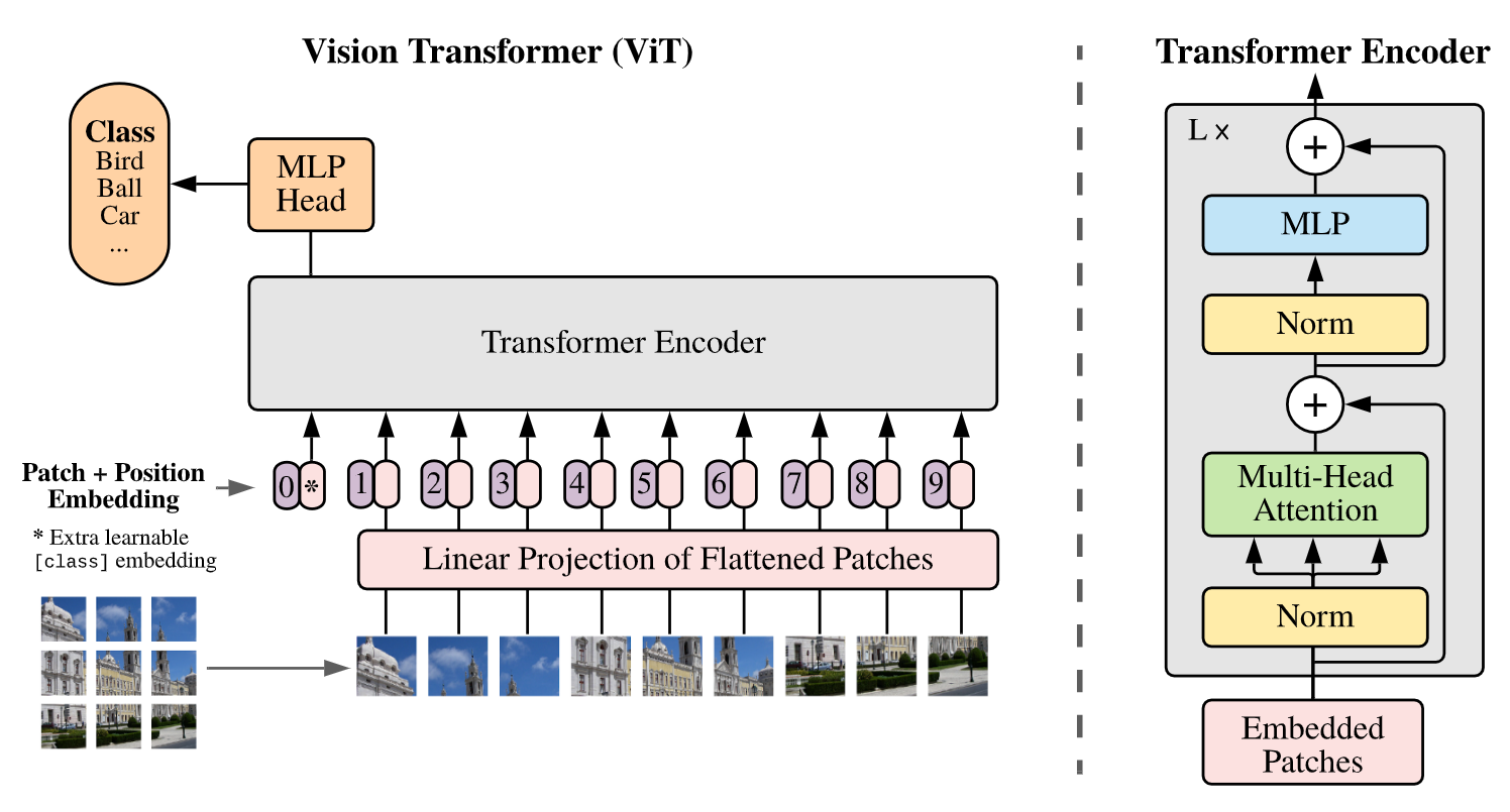 论文阅读 Vision Transformer (ViT)